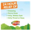 24 Hour Allergy Relief Tablets With 10 mg Cetirizine HCl